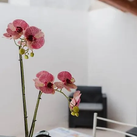 Holiday home Maresol Marsala