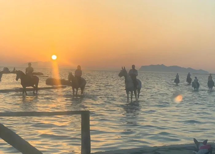 別荘 Maresol マルサラ